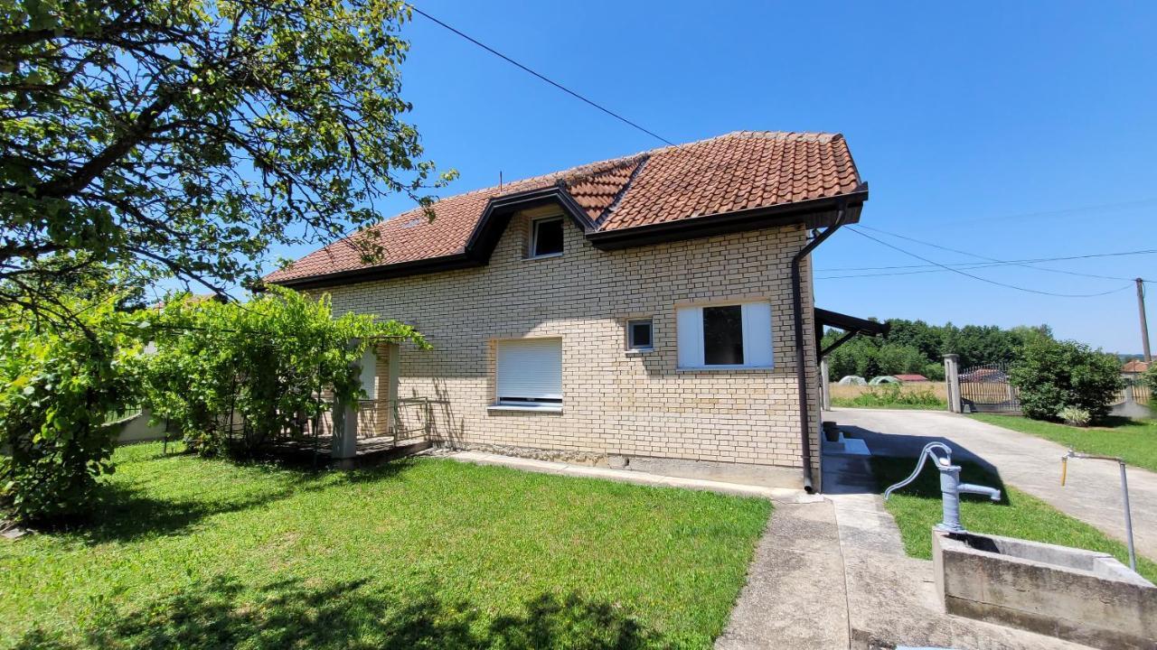 Apartman Progresso Valjevo Exteriör bild